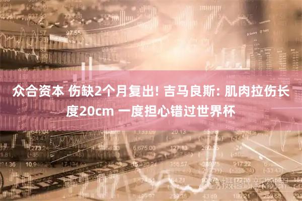 众合资本 伤缺2个月复出! 吉马良斯: 肌肉拉伤长度20cm 一度担心错过世界杯